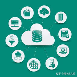 作為軟件開發(fā)人員需要的技術(shù)技能